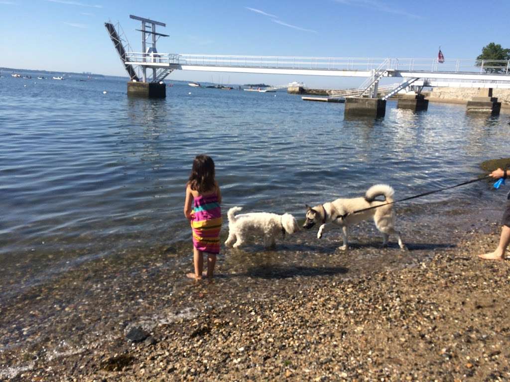 Larchmont Dog Beach | Park Ave, Larchmont, NY 10538, USA | Phone: (914) 834-6230