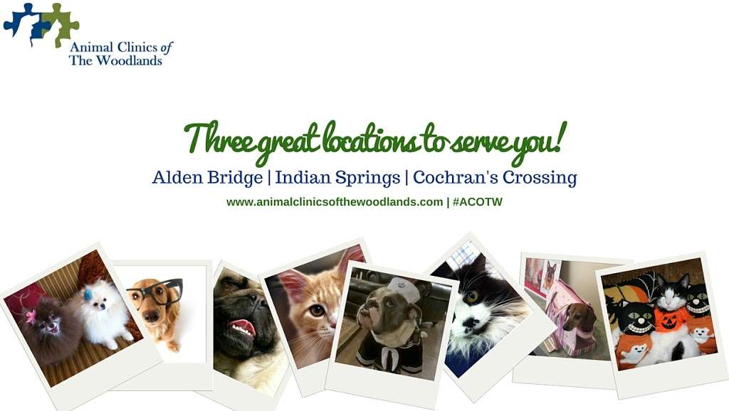 Animal Clinics Of The Woodlands - Indian Springs | 10807 Kuykendahl Rd #406, Spring, TX 77382 | Phone: (281) 298-5509