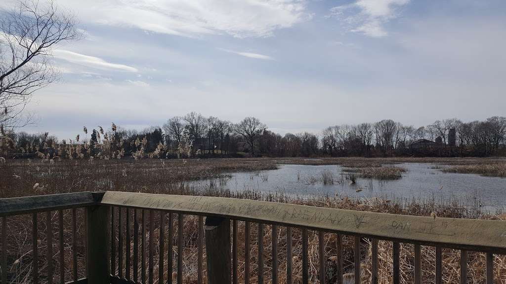 Mannington Marsh Wildlife Refuge Observation Tower | Salem Woodstown Rd, Mannington Township, NJ 08079