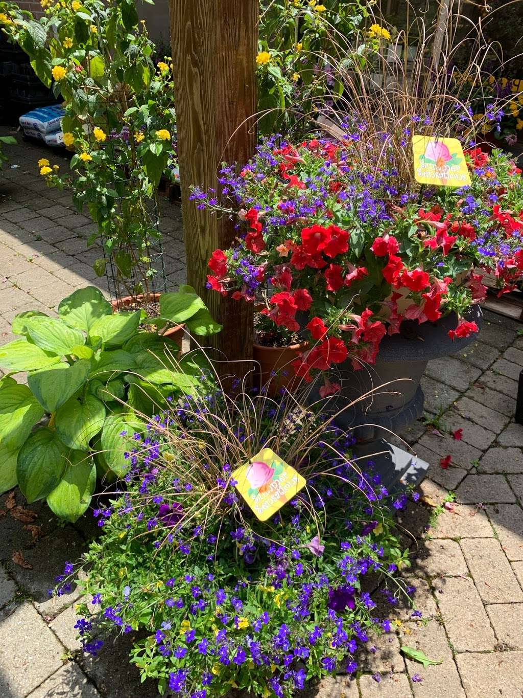 Scaping Gardens | 25 Jackson Ave, Scarsdale, NY 10583, USA | Phone: (914) 713-0222