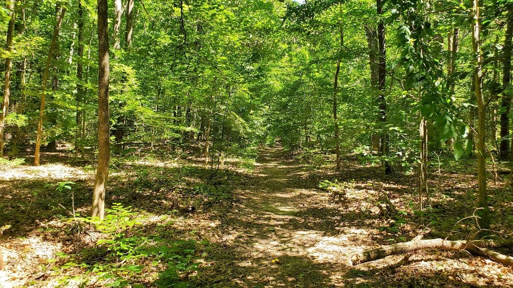 Hickory Hollow Natural Area Preserve | Regina Rd, Lancaster, VA 22503, USA | Phone: (804) 786-7951