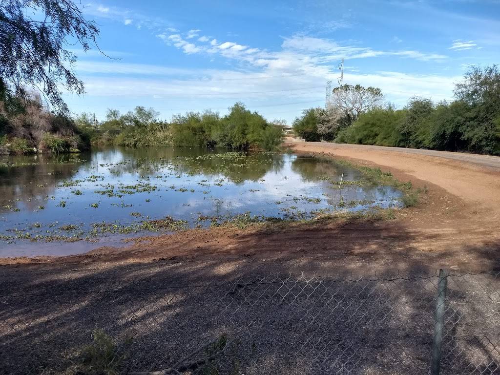 Neely Ranch Riparian Preserve | 215 N Cooper Rd, Gilbert, AZ 85233, USA