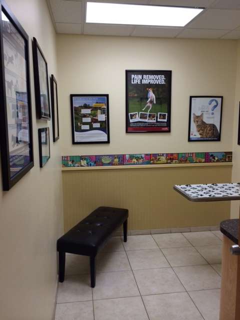 Countryside Veterinary Clinic | 4866 Montgomery Rd, Ellicott City, MD 21043, USA | Phone: (410) 461-2400