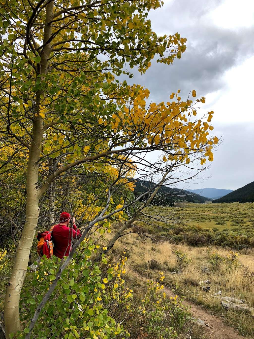 Long Gulch Trailhead | Forest Rd 817, Jefferson, CO 80456, USA