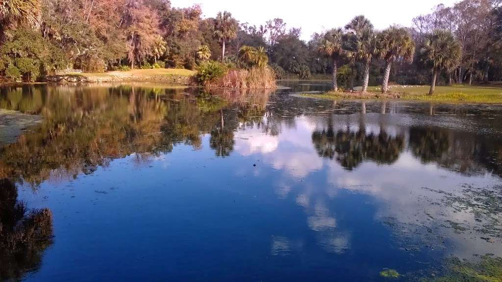 Shady Brook Golf & RV Resort | 178 US-301, Sumterville, FL 33585, USA | Phone: (352) 568-2244