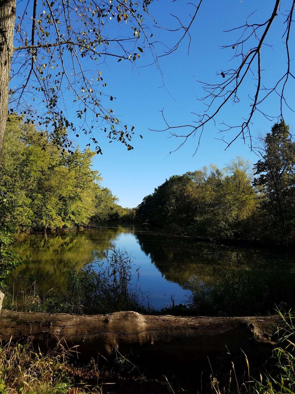 River Bend Nature Center | 3600 N Green Bay Rd, Racine, WI 53404, USA | Phone: (262) 639-1515