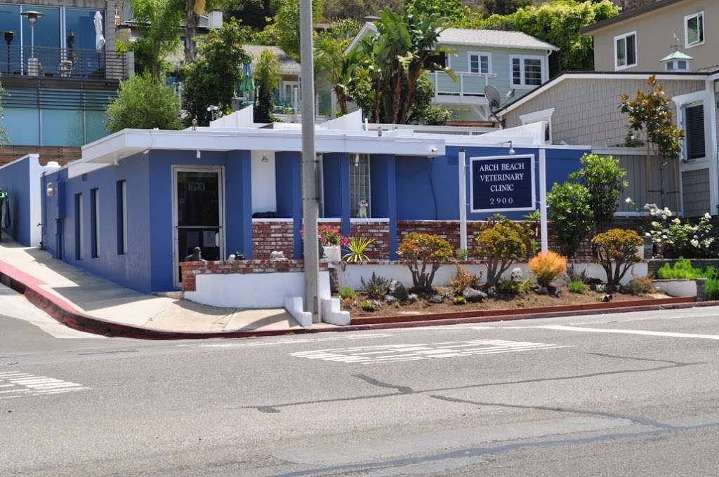 Arch Beach Veterinary Clinic | 2900 S Coast Hwy, Laguna Beach, CA 92651, USA | Phone: (949) 494-6583