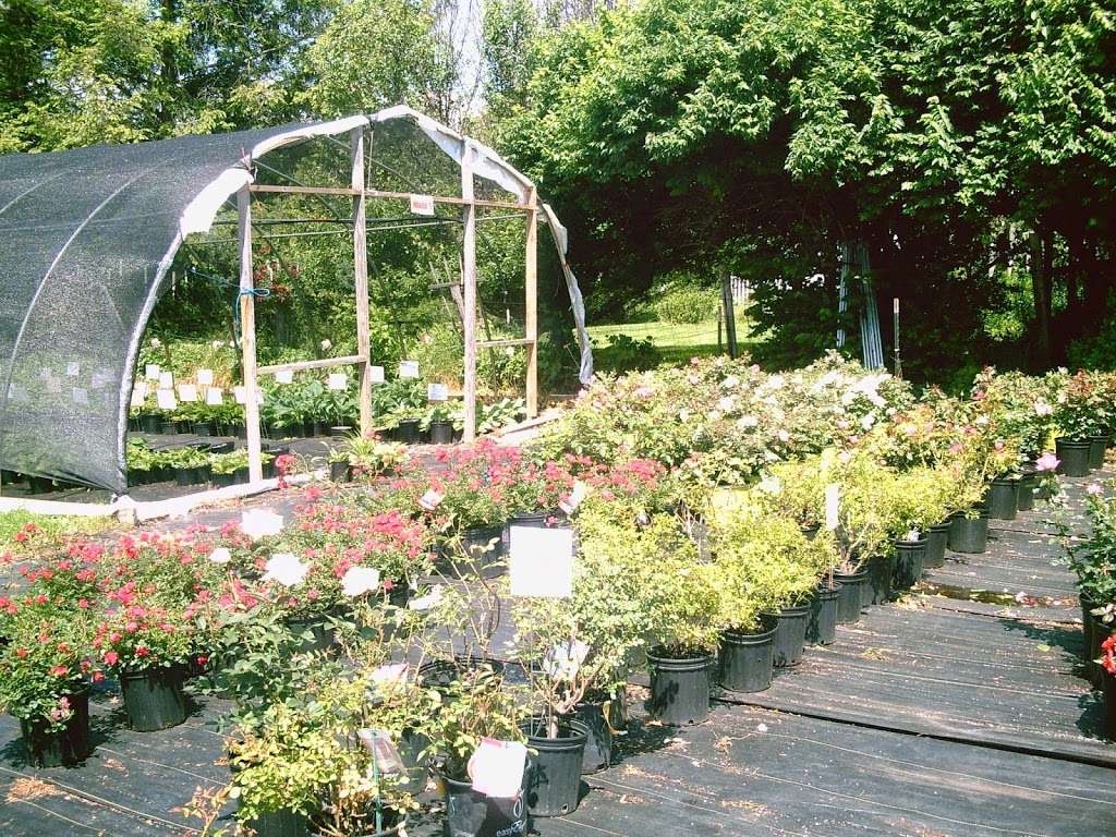Abernethy & Spencer Greenhouse and Garden Center | 18035 Lincoln Rd, Purcellville, VA 20132, USA | Phone: (540) 338-9118