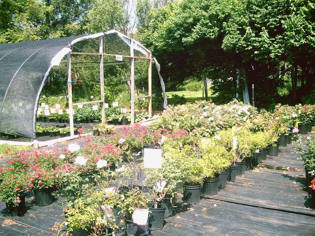 Abernethy & Spencer Greenhouse and Garden Center | 18035 Lincoln Rd, Purcellville, VA 20132 | Phone: (540) 338-9118