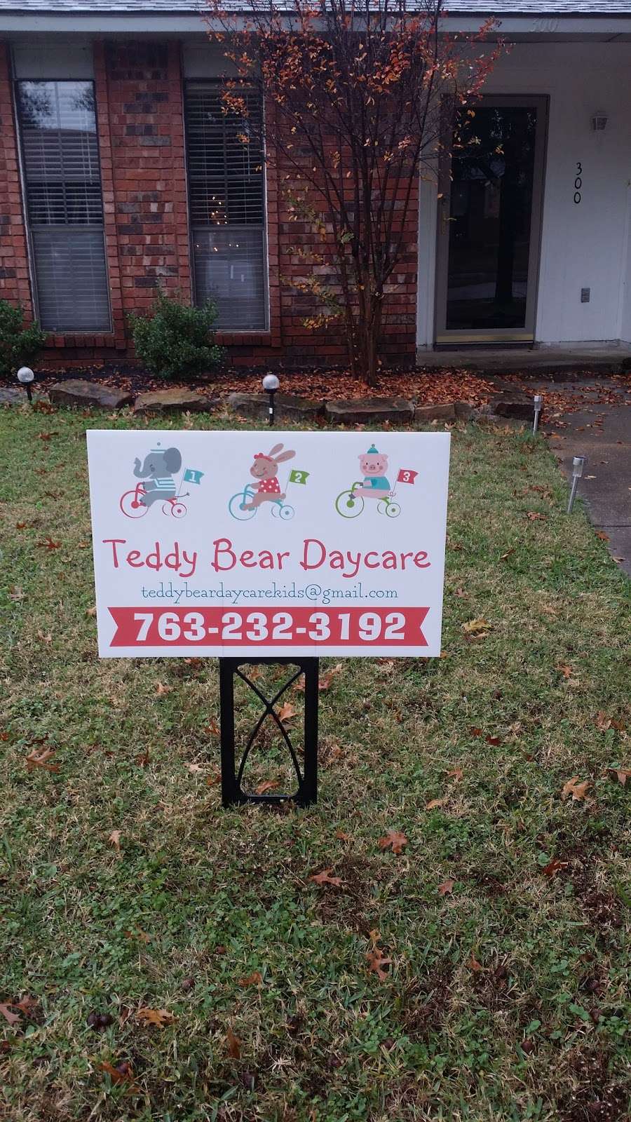 Teddy Bear Daycare | 2702 Maci Ct, Seagoville, TX 75159, USA | Phone: (763) 232-3192