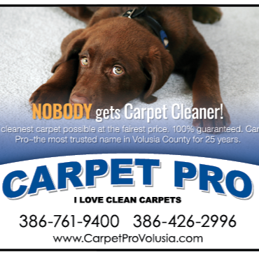 Carpet Pro LLc | 4430 Eastport Park Way, Port Orange, FL 32127, USA | Phone: (386) 761-9400