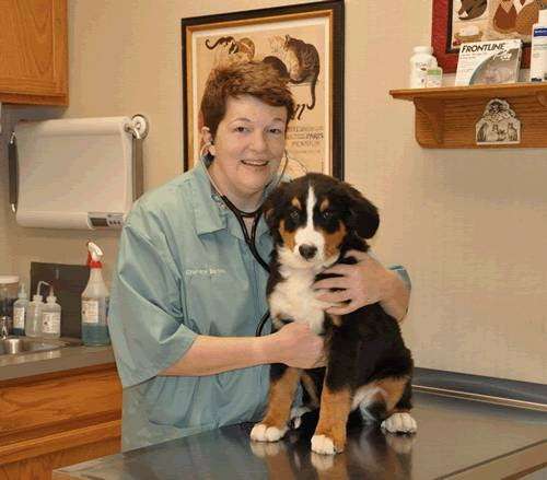 Wayne Heights Animal Hospital | 2085 E Main St, Waynesboro, PA 17268 | Phone: (717) 765-9636