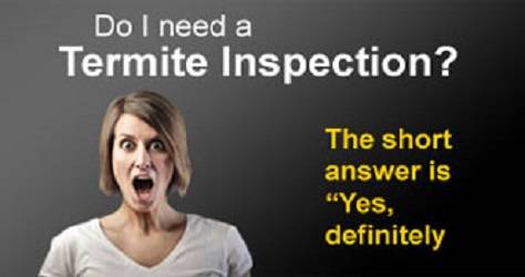 The Termite Inspector Company | 9621 Campo Rd suite b, Spring Valley, CA 91977, USA | Phone: (619) 741-8456