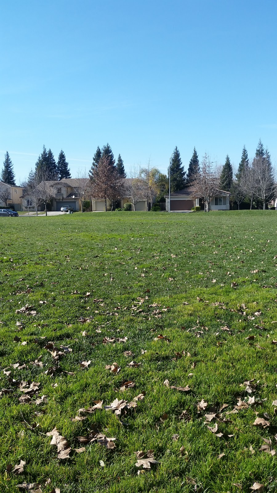 Southport Gateway Park | 1650 Gateway Dr, West Sacramento, CA 95691, USA | Phone: (916) 617-4620