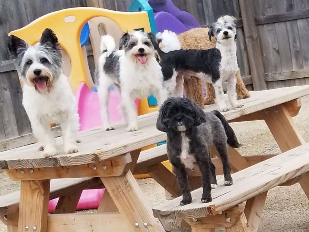 Happy Pet Place | 4817, 841 E Nerge Rd, Roselle, IL 60172, USA | Phone: (847) 278-1972