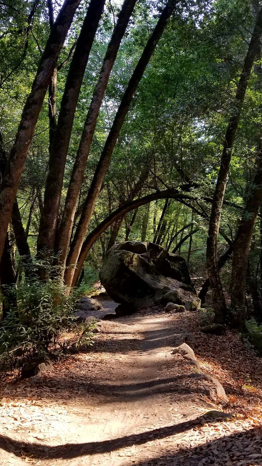 John Nicholas Trailhead in Sanborn County Park | 20409 Black Rd, Los Gatos, CA 95033, USA