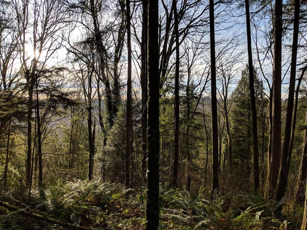 Gold Creek County Park | 16020 148th Ave NE, Woodinville, WA 98072, USA | Phone: (425) 869-2761