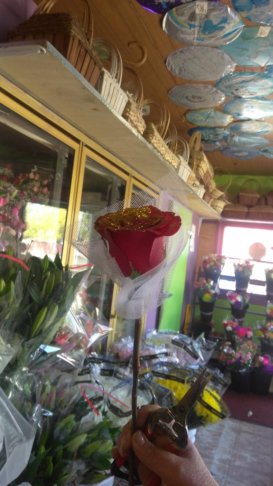 Annies Flowers | 6395 Cherry Ave, Long Beach, CA 90805 | Phone: (562) 422-8517