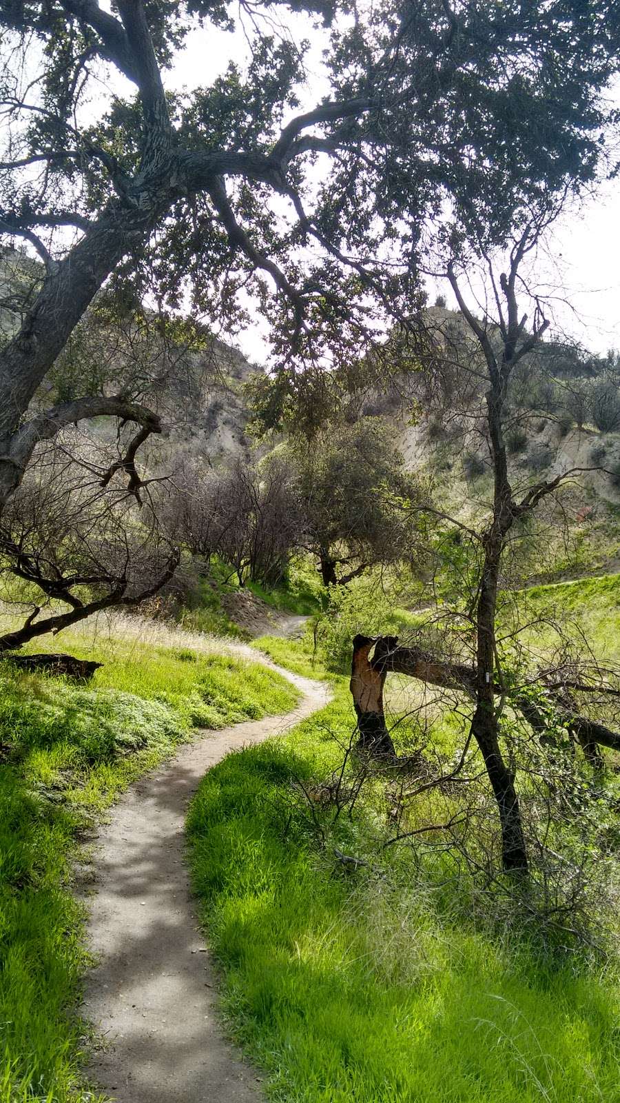 Taylor Trail Wilderness & Open Space Area | Stevenson Ranch, CA 91381