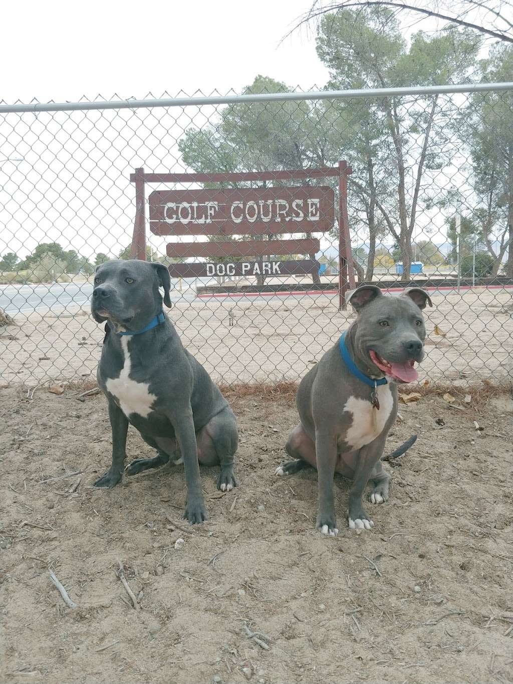 California City Dog Park | California City, CA 93505, USA