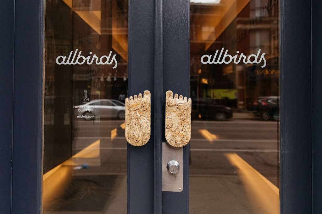 Allbirds Lincoln Park | 843 W Armitage Ave, Chicago, IL 60614, USA | Phone: (888) 963-8944