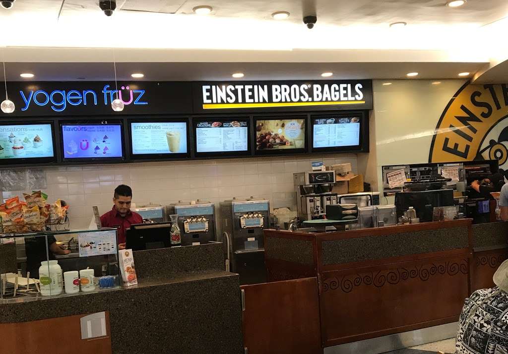 Einstein Bros. Bagels | 2800 N Terminal Rd, Houston, TX 77032, USA | Phone: (800) 224-3563