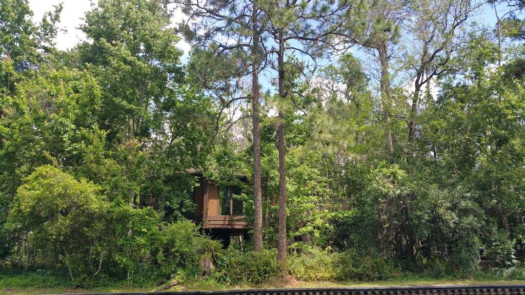 Boat Launch - Treehouse Villas at Disneys Saratoga Springs Reso | Lake Buena Vista, FL 32830