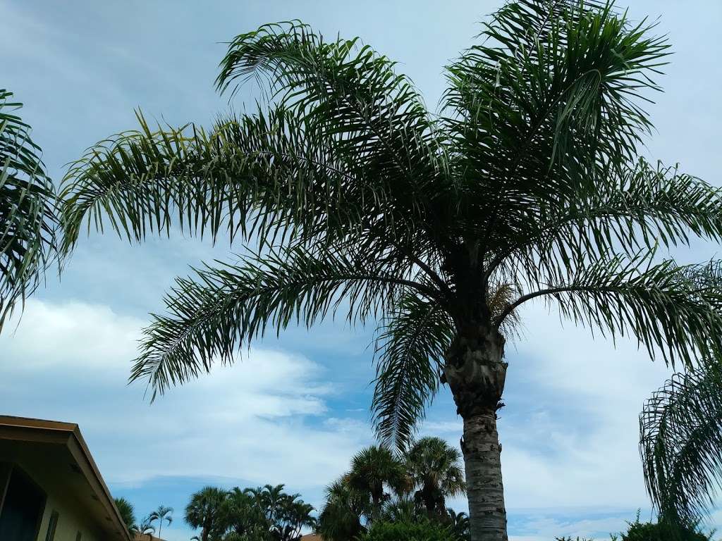 Lucinda Palm Court | 13100 Lucinda Palm Ct, Delray Beach, FL 33484