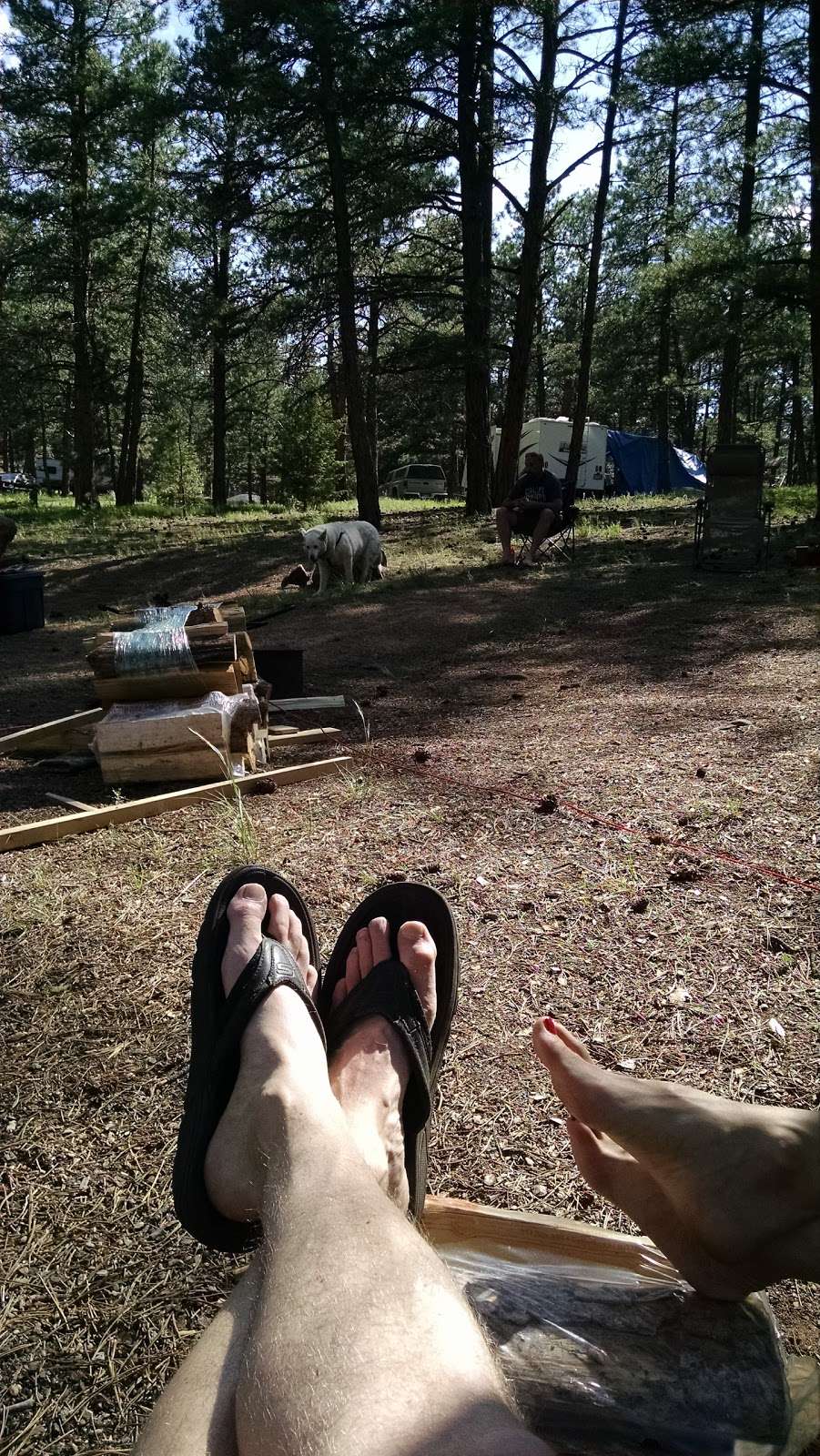 Buffalo Creek Campground | 28707 Redskin Creek Rd, Pine, CO 80470, USA