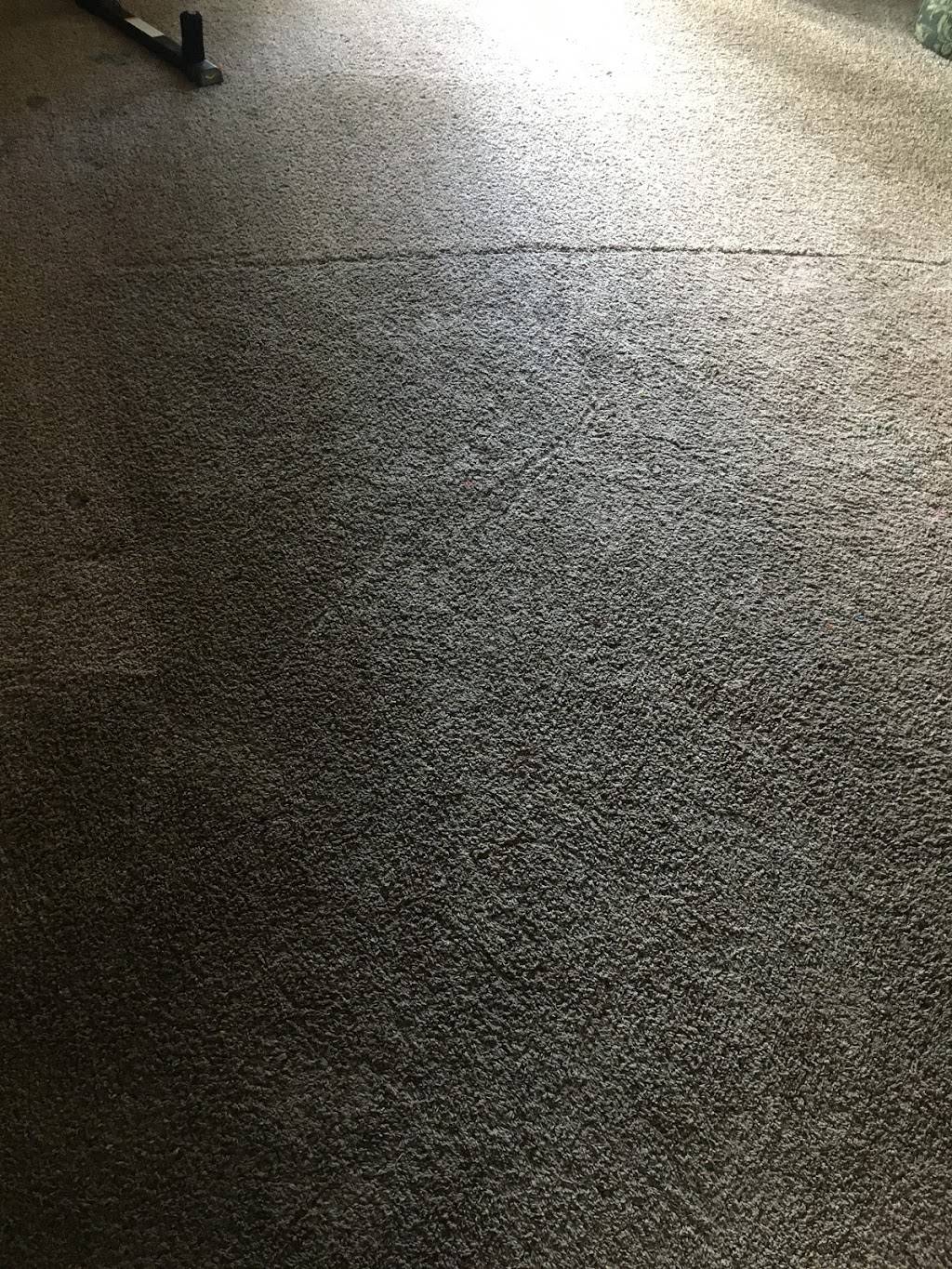 Sunshine Carpet Cleaning | 19510 129th Ave NE, Bothell, WA 98011, USA | Phone: (425) 864-1699