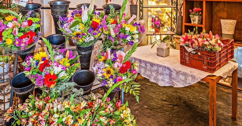 Lopez Flowers | 440 Saxony Rd, Encinitas, CA 92024, USA | Phone: (760) 634-1990