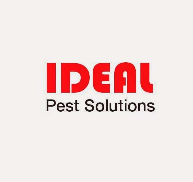 Ideal Pest Solutions/Pest Control | 1279 Winter Garden Vineland Rd Unit 240, Winter Garden, FL 34787, USA | Phone: (407) 864-3325