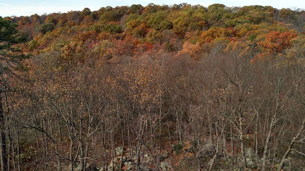 Cat Rock & Bobs Hill Natural Area | Catoctin Hollow Road, Thurmont, MD 21788, USA | Phone: (301) 271-7574