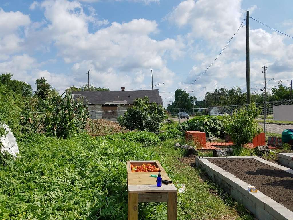 Beautys Community Garden | 3201 Airline Dr, Houston, TX 77022, USA | Phone: (212) 555-0111