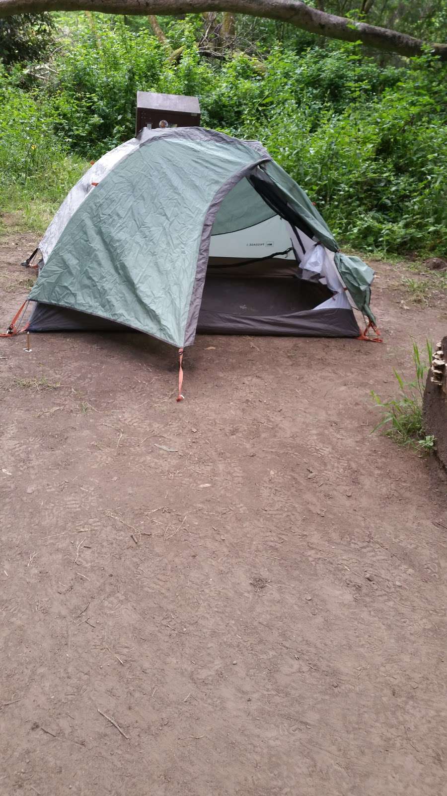 Twin Redwoods Trail Camp | Davenport, CA 95017, USA | Phone: (831) 338-8861