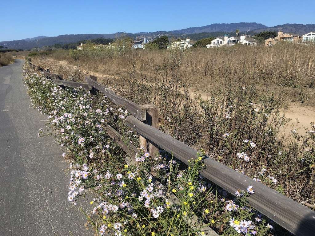 Parking Lot Half Moon Bay | Half Moon Bay, CA 94019