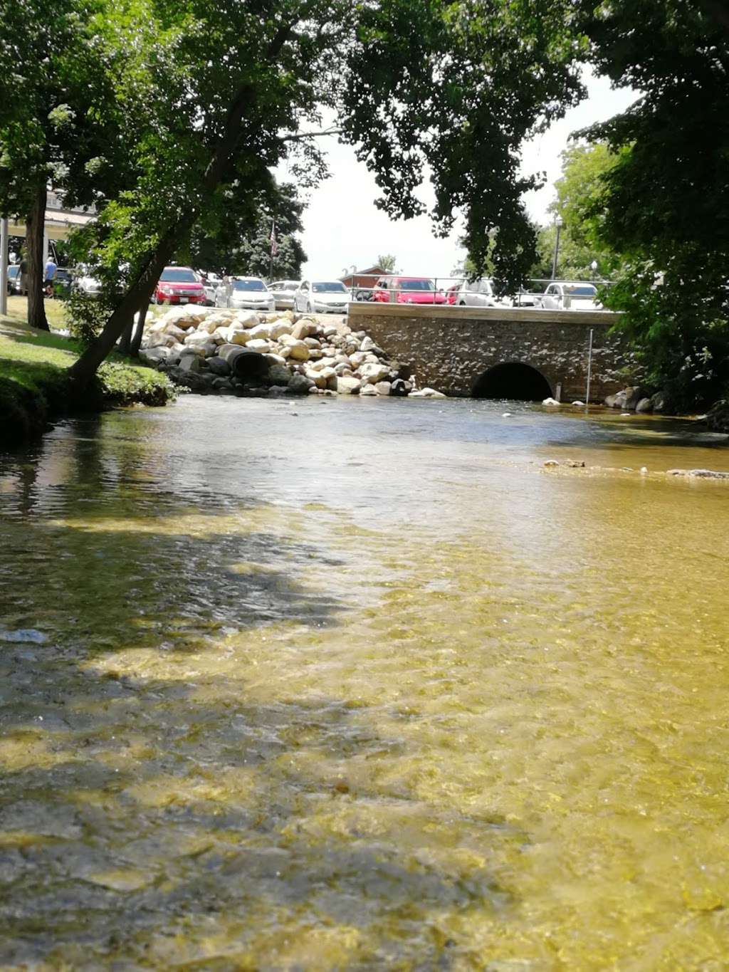 Samuel Donian Wetland Preserve | 626 Geneva St, Lake Geneva, WI 53147, USA | Phone: (262) 248-3673