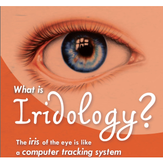 What is Iridology - InSpiral | 40 Estabrook Rd, Carlisle, MA 01741 | Phone: (617) 637-6672