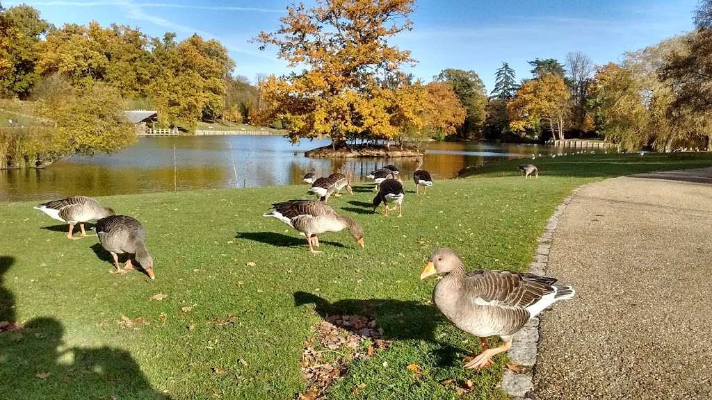 Dunorlan Park Café | Dunorlan Park, Pembury Rd, Royal Tunbridge Wells, Tunbridge Wells TN2 3QN, UK