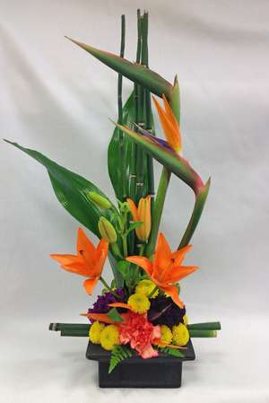 Greensleeves Florist | 11725 Lee Hwy, Fairfax, VA 22030, USA | Phone: (703) 691-0303