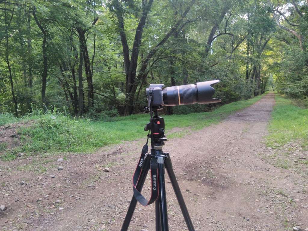 Two Sisters Wetland Preserve Property | Riverside Park, Wayne, NJ 07470