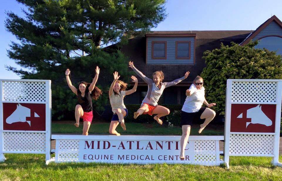 Mid-Atlantic Equine Medical Center | 40 Frontage Rd, Ringoes, NJ 08551, USA | Phone: (609) 397-0078