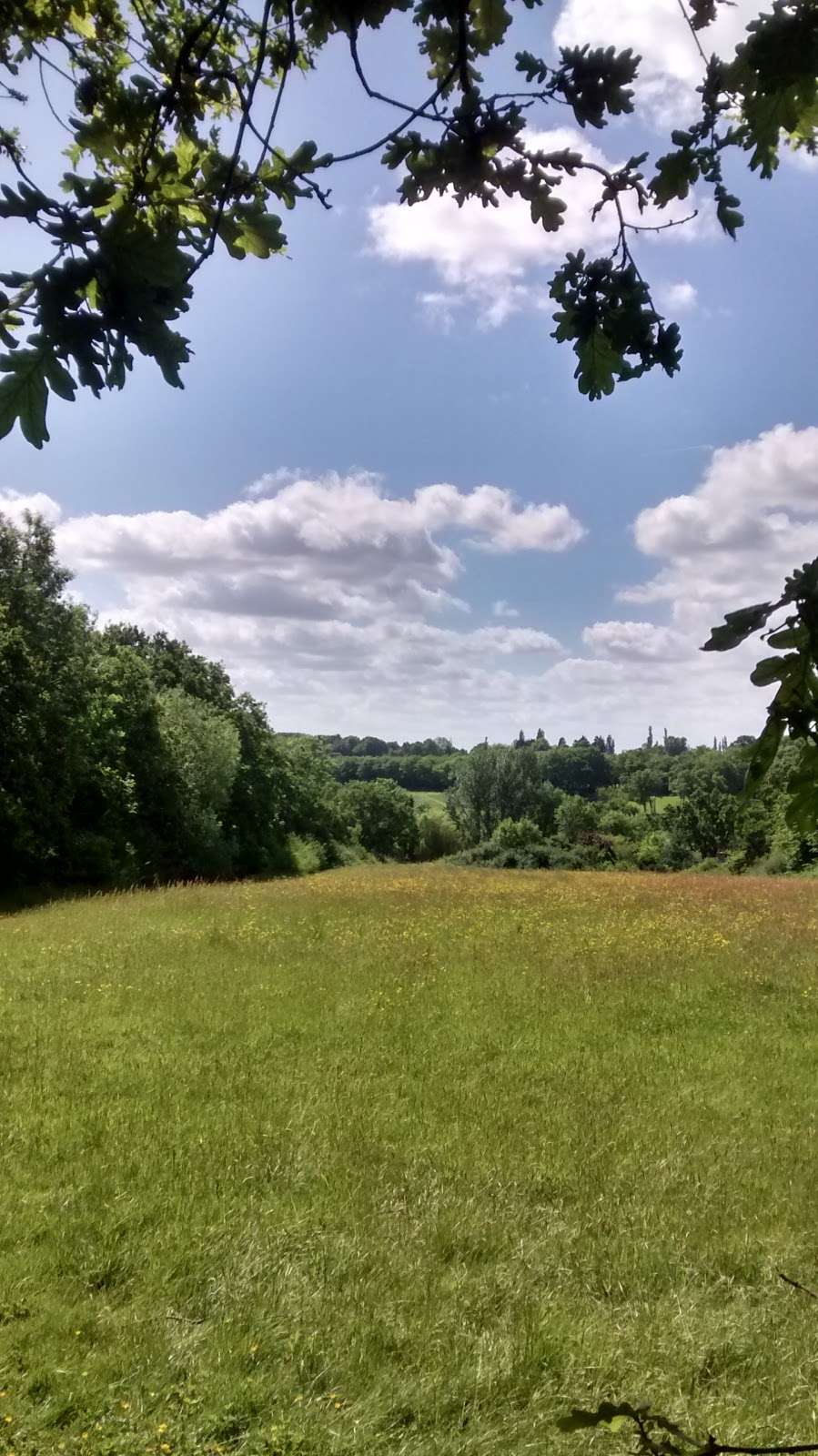 Bencroft Wood Nature Reserve | Broxbourne SG13 8PA, UK