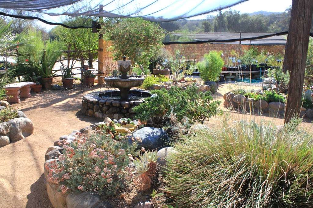 Tree of Life Nursery | 33201 CA-74, San Juan Capistrano, CA 92675 | Phone: (949) 728-0685