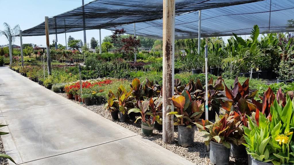 Green Hills Nursery | 2408 N Armstrong Ave, Fresno, CA 93727 | Phone: (559) 291-8733