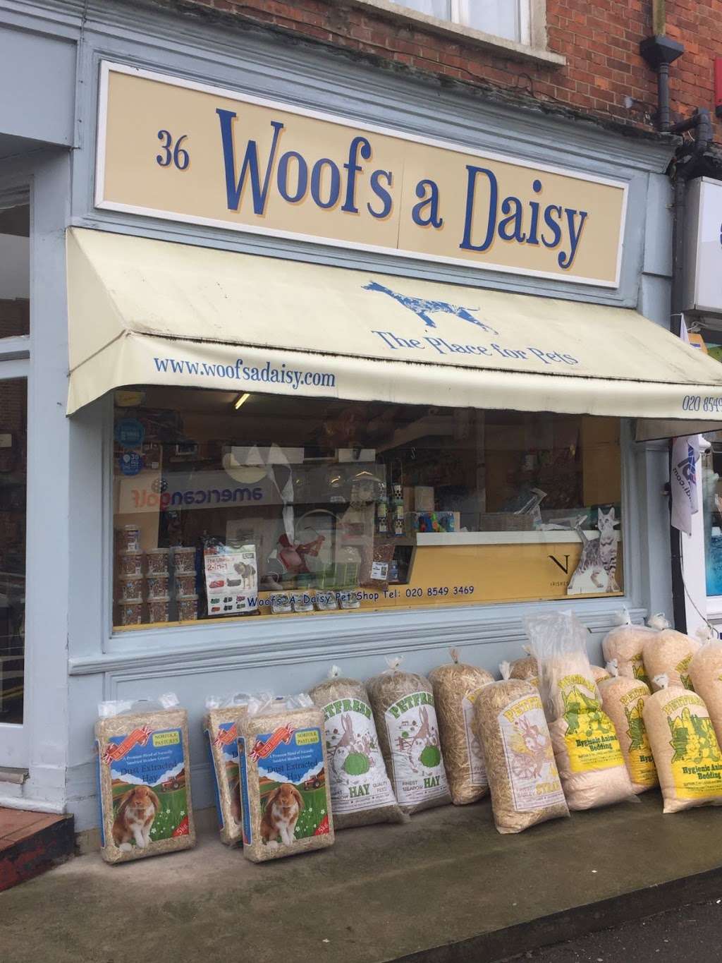 Woofs A Daisy | 36 Coombe Rd, Kingston upon Thames KT2 7AG, UK | Phone: 020 8549 3469