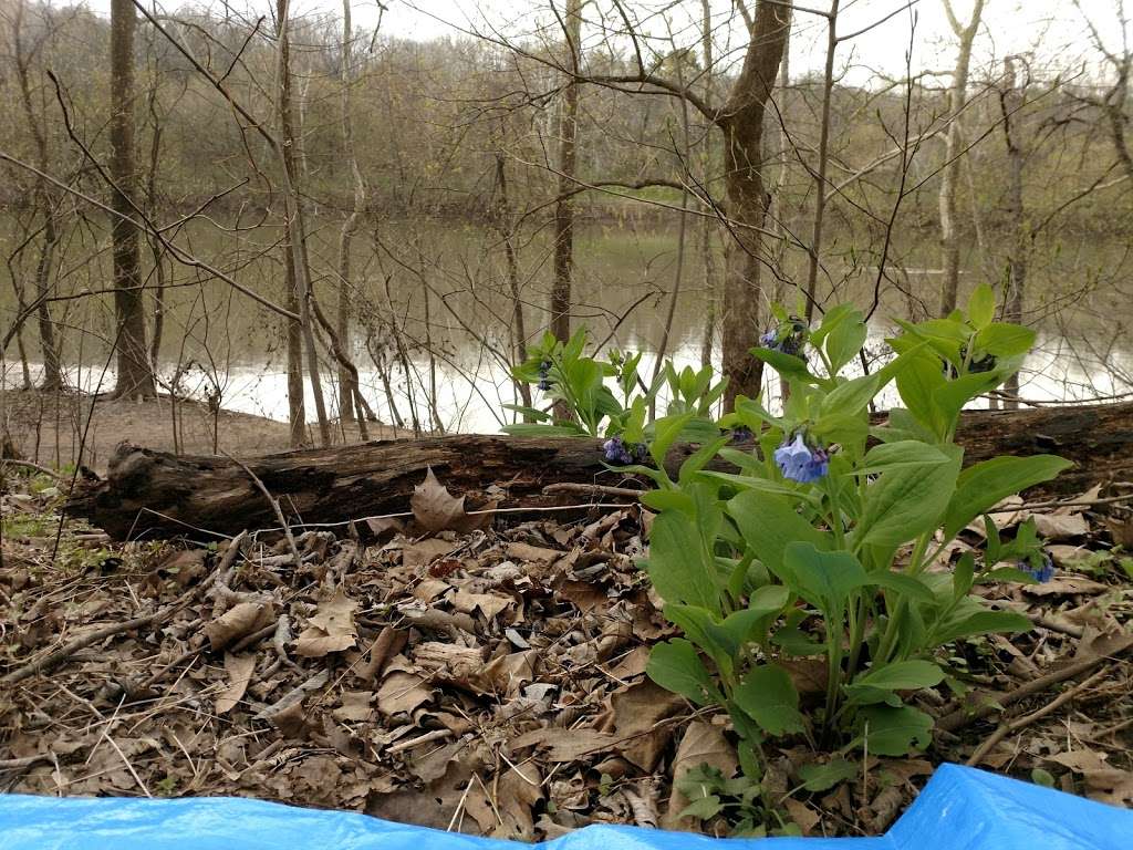 Killiansburg Cave Campsite | Sharpsburg, MD 21782