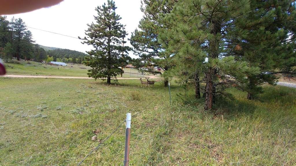Charmetella Park | 444 P 69 Rd, Bailey, CO 80421, USA Charmetella Park | 444 P 69 Rd, Bailey, CO 80421, USA