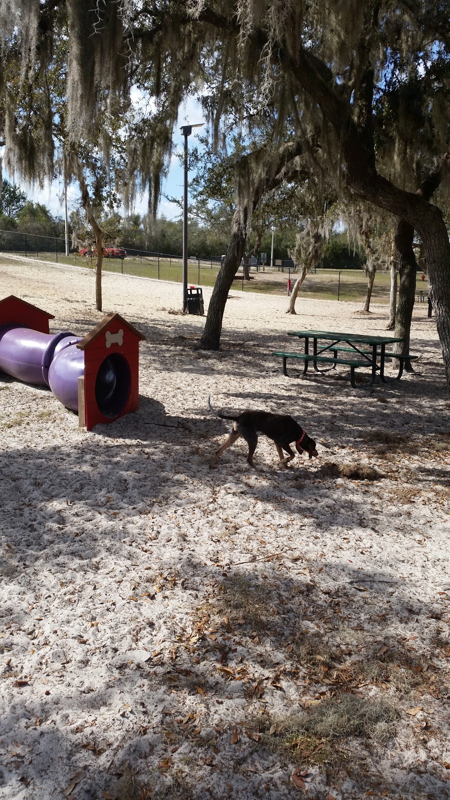 Keysville Dog Park | 2641 Keysville Ave, Deltona, FL 32725, USA