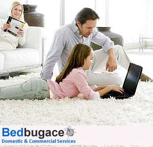 Bedbugace | 52 Pound Rd, Banstead SM7 2HU, UK | Phone: 07342 940195